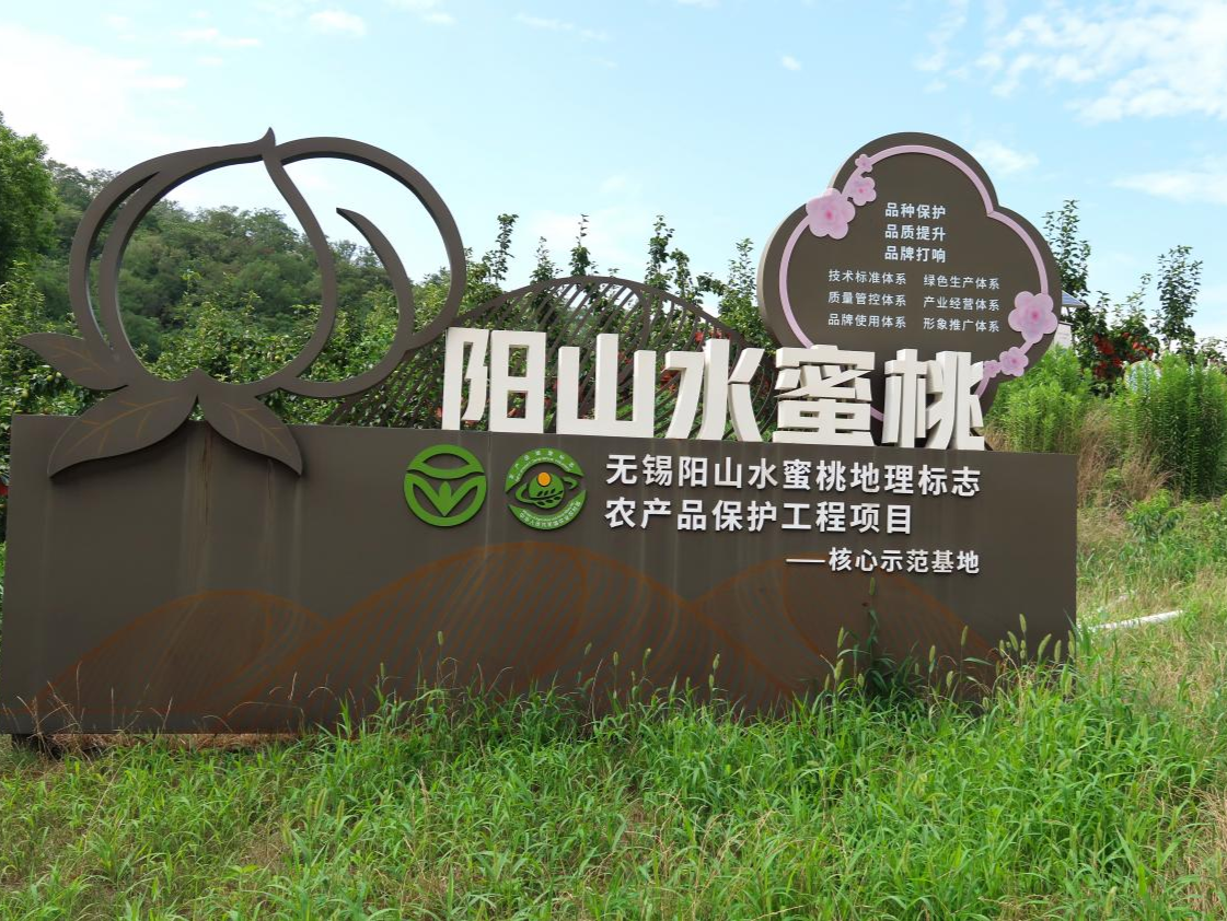  江苏无锡：推进农业现代化，蜜桃飘香产业旺