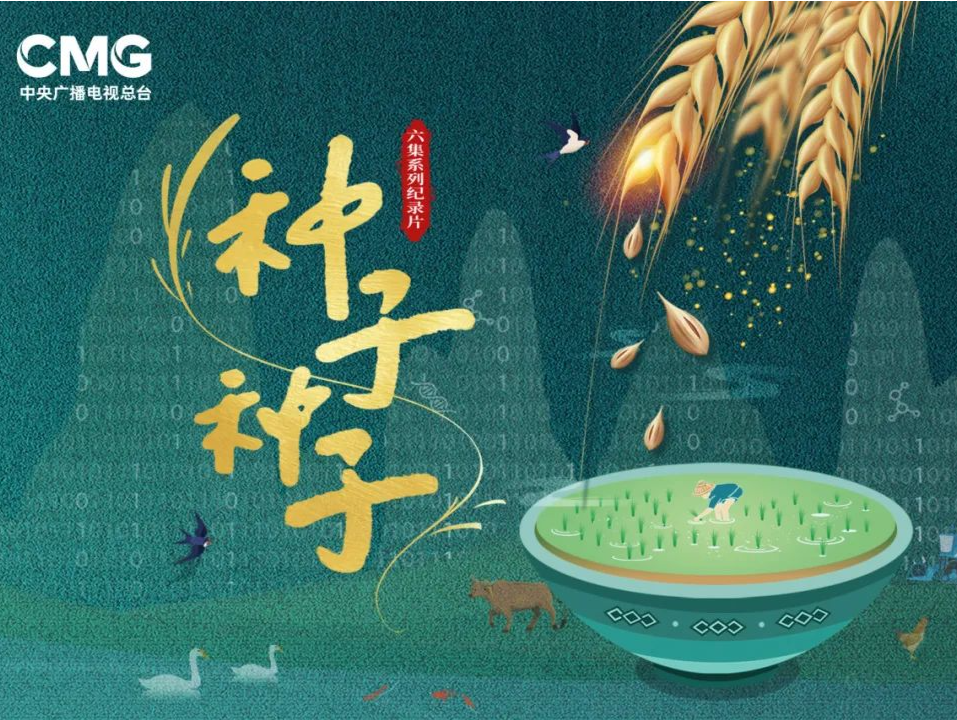 总台台长撰文：中国种 中国心