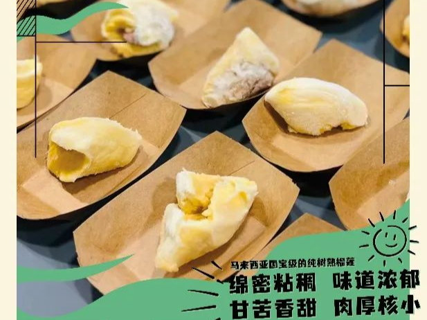免费！特惠！暑期来盐田过得有声有味