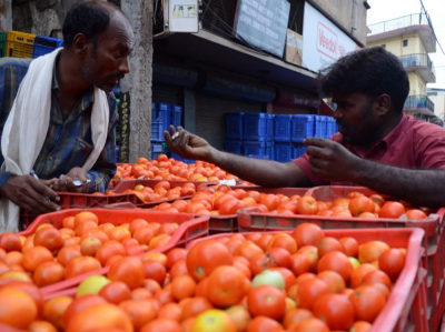 极端天气致印度西红柿价格飙升