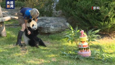 法国民众欢送旅法大熊猫“圆梦”归国