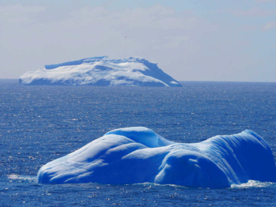 南极海冰面积创新低，科学家：南极生态系统或发生根本性改变