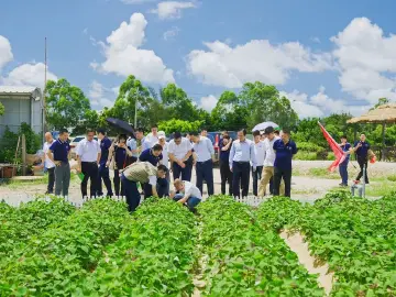 持续促进民营经济发展壮大，凝聚深圳力量服务全局 