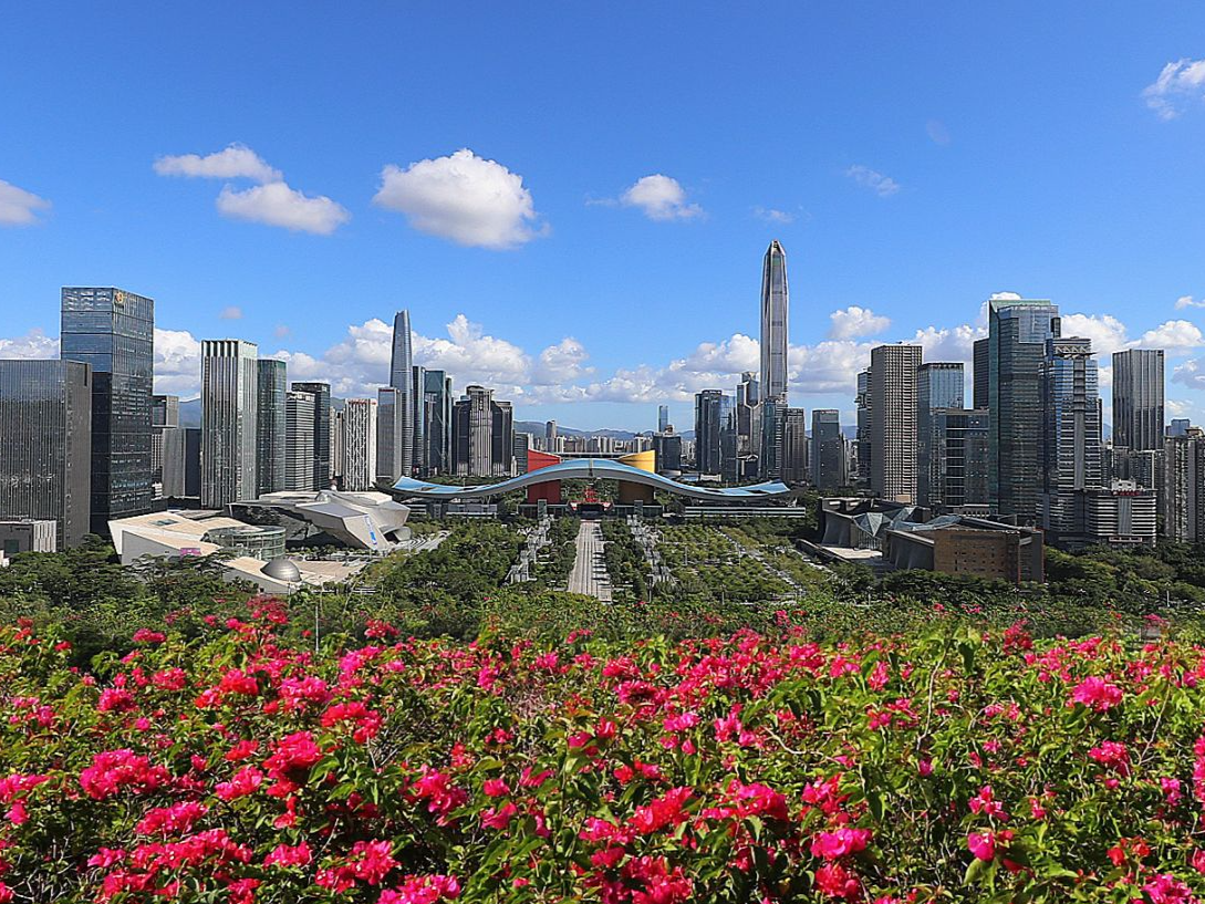 第十七届中国基金合伙人峰会在深圳举行，深圳市“20+8”产业集群第二批基金设立计划发布  ​