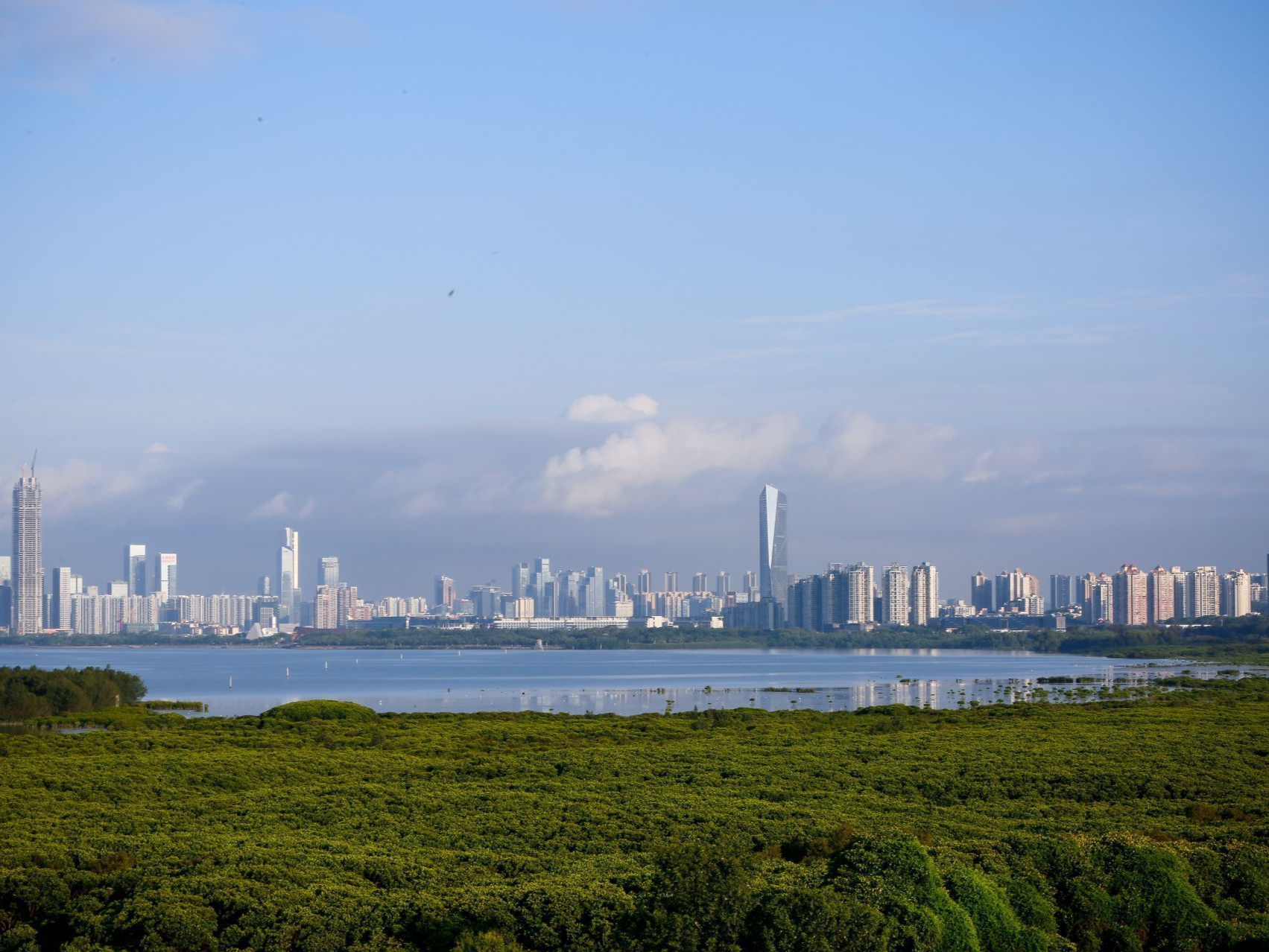国家知识产权强市建设示范工作研讨交流活动举行