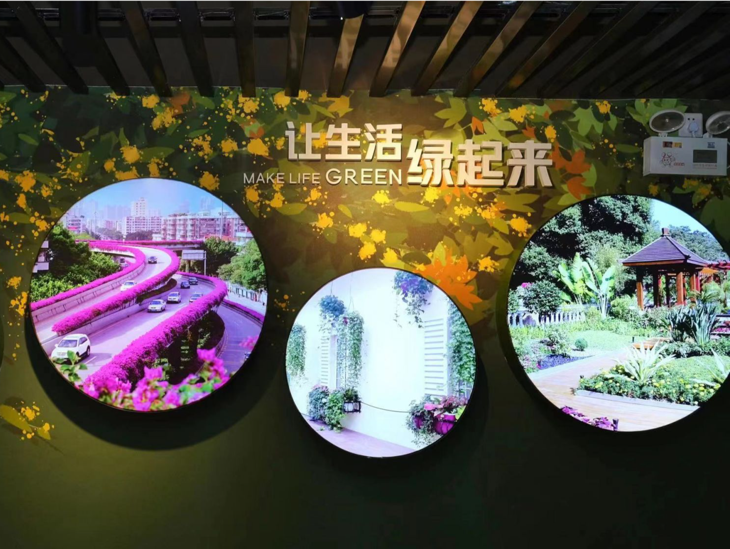 墨脱榕、云南榕、甘肃桃……广州木本花卉专类植物展示园揭牌成立