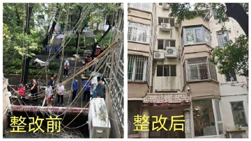 园岭新村旧貌焕新颜！用“绣花功夫”改造提升老旧小区——园岭新村综合整治进行时系列报道②