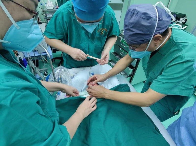为13日龄婴儿切肿瘤！深圳这家医院完成全国最小新生儿微创肝脏肿瘤切除术