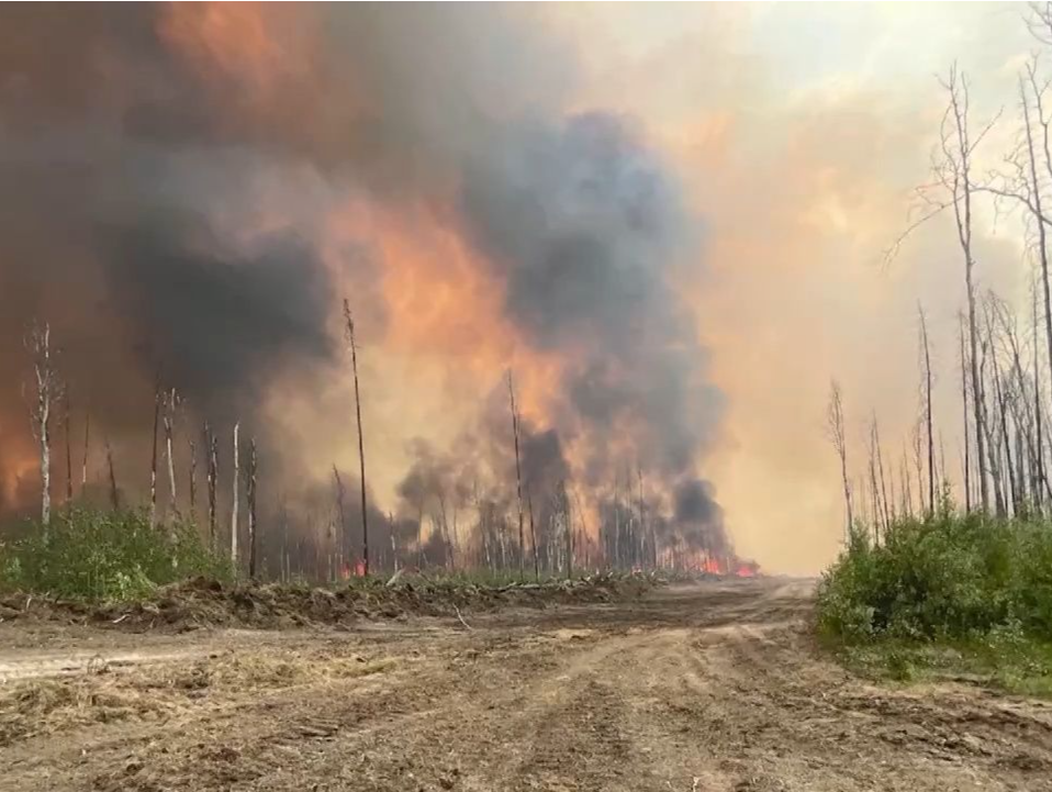 加拿大林火面积已达11万平方公里