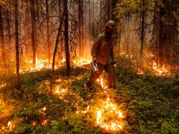 加拿大今年森林火灾过火面积已达10万平方公里