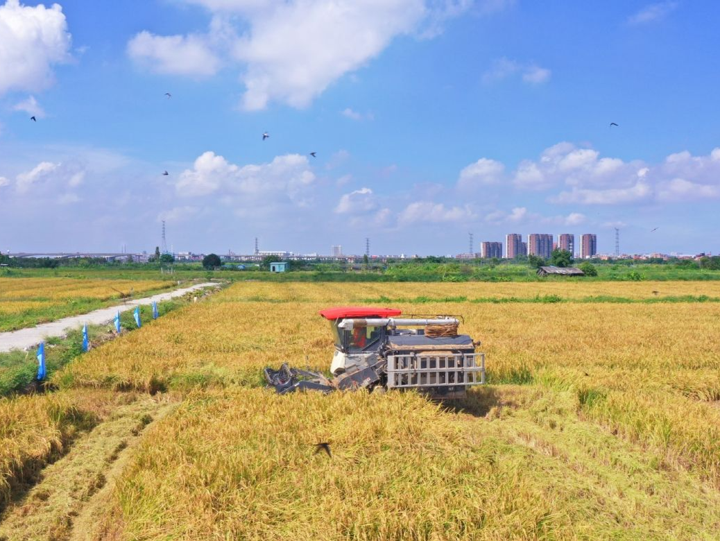东莞这27个地方可体验“诗与远方”