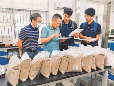 深圳职业技术大学学生团队研发成果可同时检测米粒7种缺陷