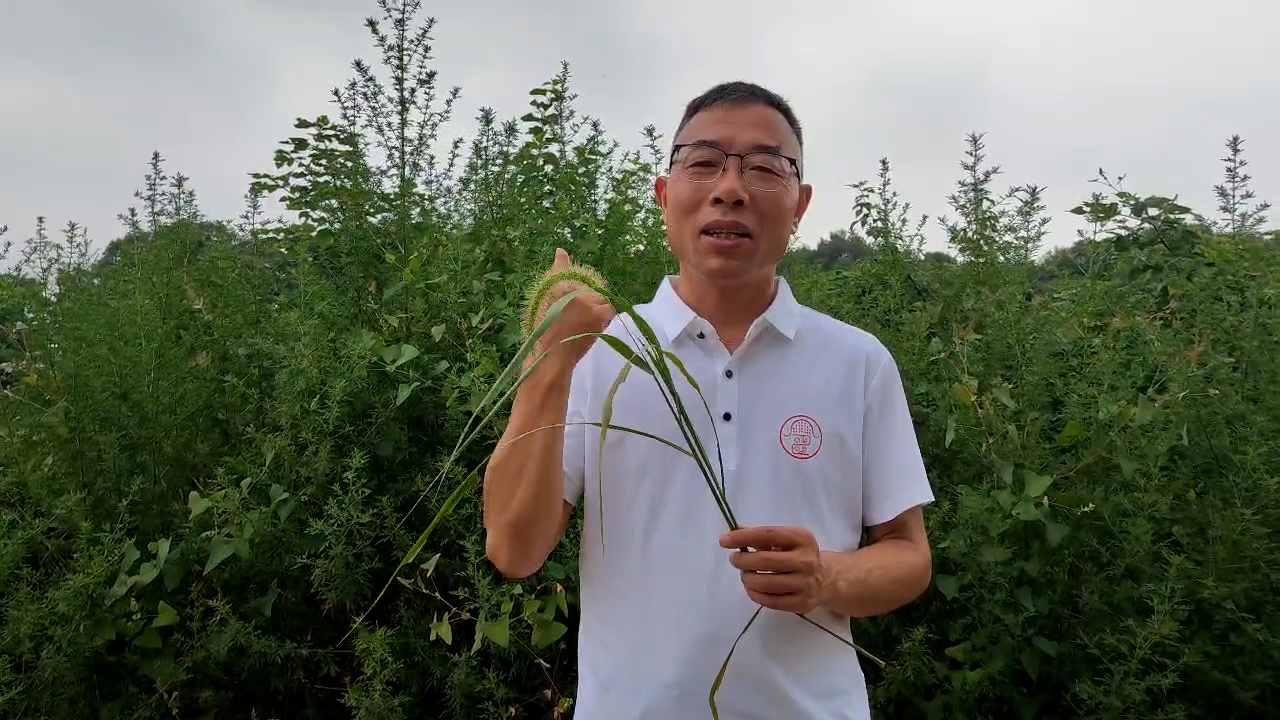 寻子22年终相见，雷公一家在岳阳团圆