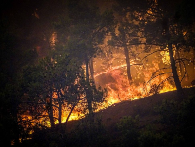 希腊多地野火蔓延 大量人员疏散