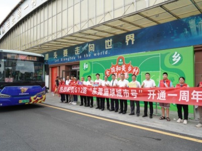 东莞巴士打造鱼骨式公交线网，G12路这一年客流增长73%