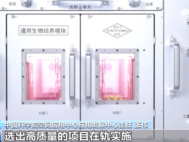 重要进展！我们的太空家园已有60多项空间科学与应用项目开展