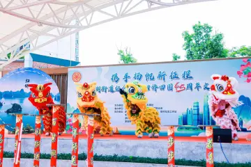 新湖街道举办纪念越南归侨回国45周年文化节