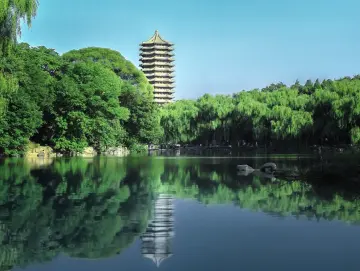 一家三口参观清北要花两千元？名校预约“黄牛”乱象调查