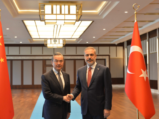 王毅同土耳其外长会谈：支持两国企业使用本币进行贸易结算