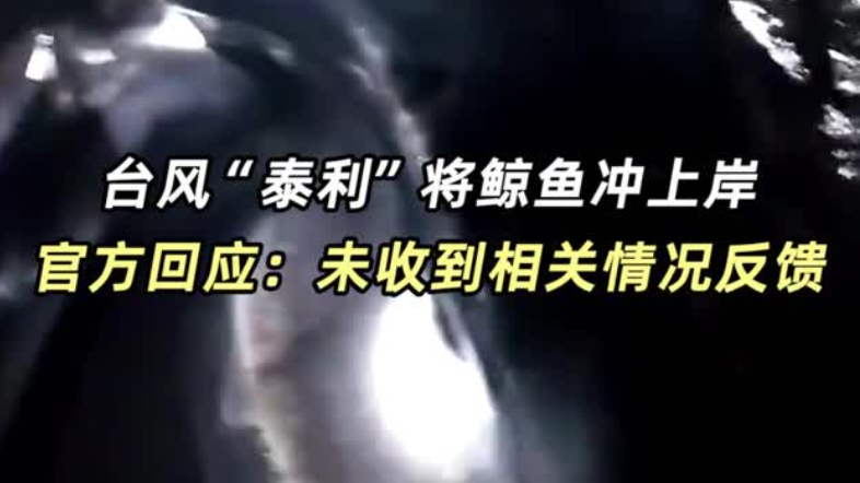网传台风“泰利”将鲸鱼冲上岸？官方回应：未收到相关情况反馈