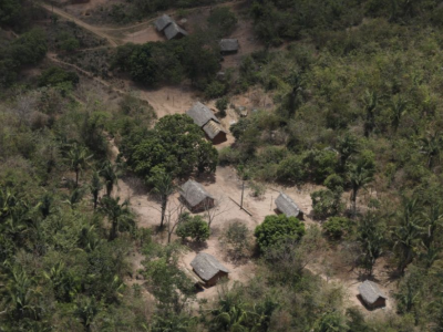 巴西亚马孙雨林上半年森林砍伐同比减少近34%