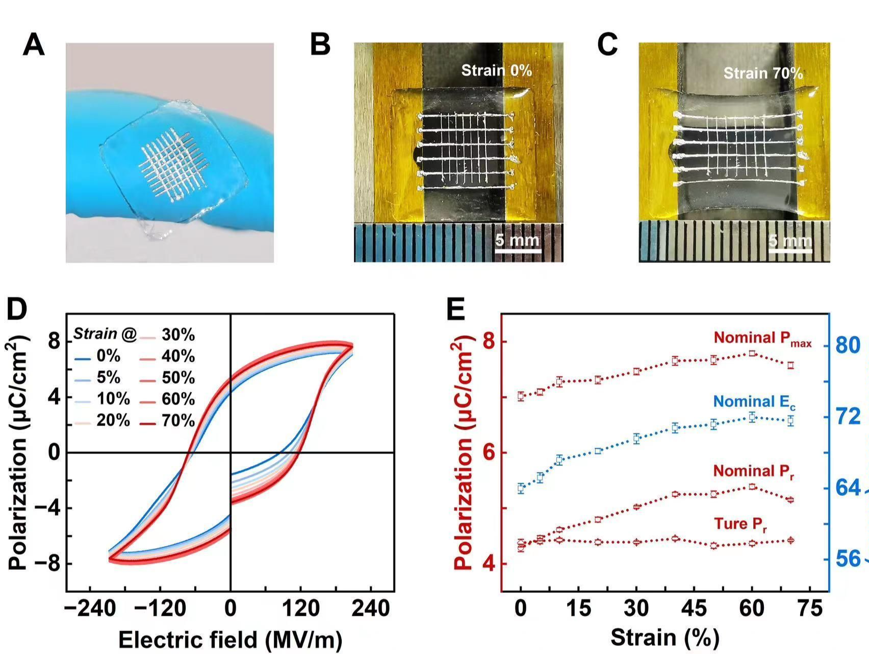 可穿戴！我国科学家率先打造出有弹性的铁电材料
