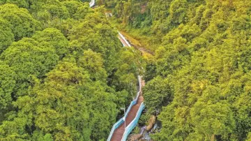 深圳生态文明建设成果殷实！“秘境之眼”：万物悠然林海间