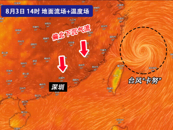 深圳全市高温黄色预警信号生效！台风“卡努”带着“空调外机”又来了？ 