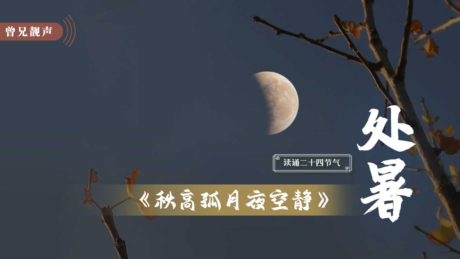 曾兄靓声｜第96期：处暑原创散文《秋高孤月夜空静》
