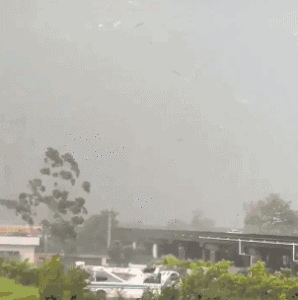 潮州出现龙卷风，造成树木倒塌、个别企业厂房受损