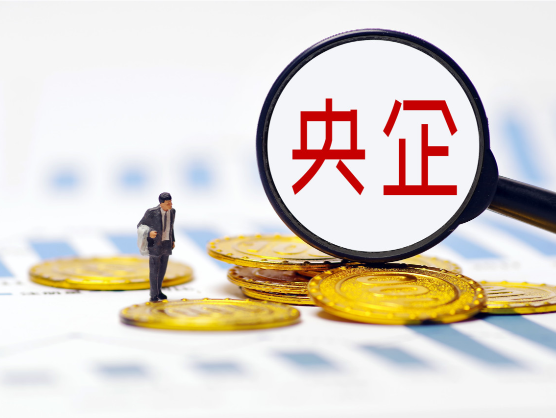 350亿项目终止：假央企为谋利益“狐假虎威”