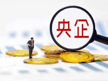 350亿项目终止：假央企为谋利益“狐假虎威”