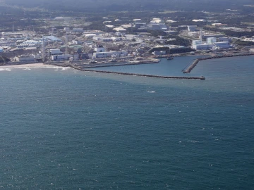 农业农村部：加大对海洋水产品核污染风险监测力度 