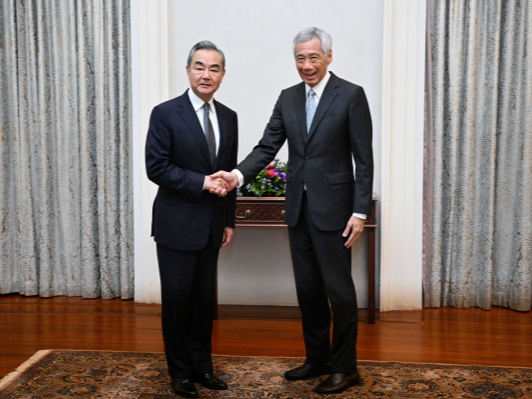 新加坡总理李显龙会见王毅