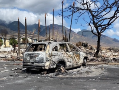 遭遇百年来最致命野火，夏威夷大火何以失控？