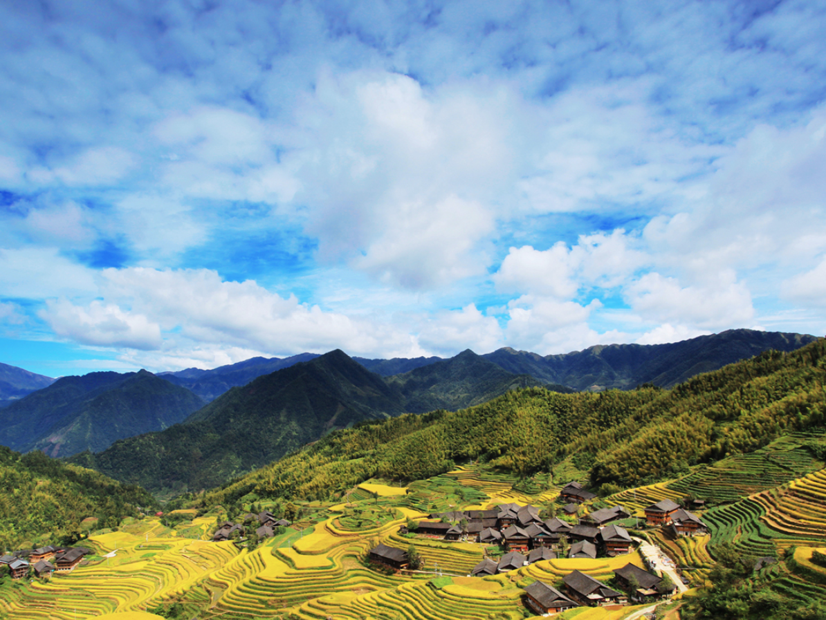 飞阅南山 | 三力促三变，南山牵手龙胜打造“马海模式”迈出乡村治理新路
