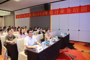 凤凰街道108名规模以上工业统计人员参加业务培训  