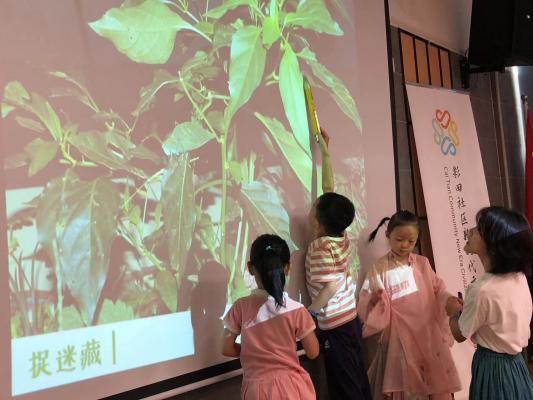 彩田社区开展“同在蓝天下，人鸟共家园”自然教育科普活动