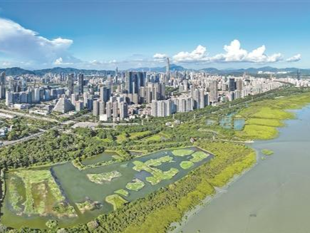 深圳以高品质生态环境绘就绿色发展底色