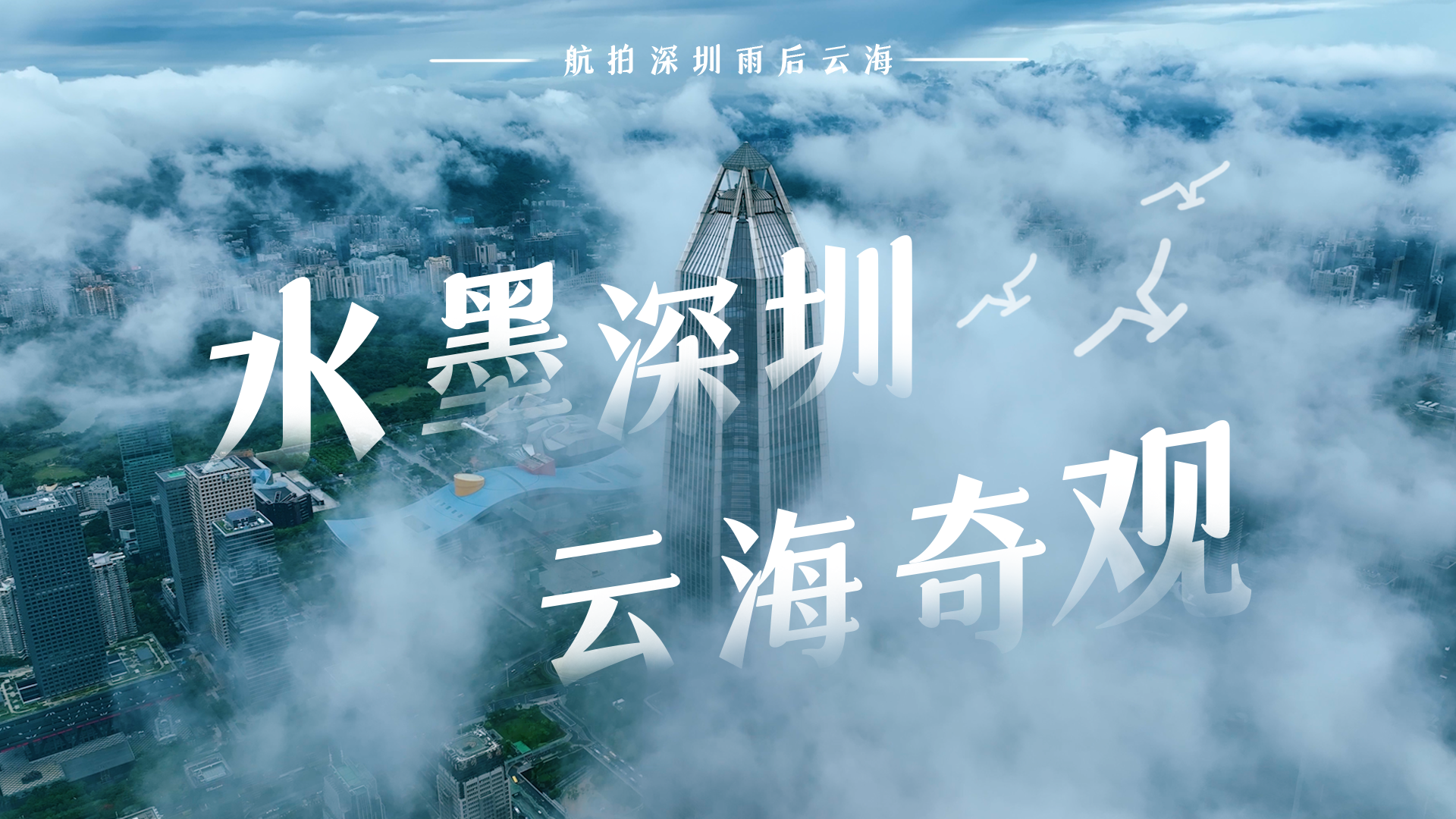 航拍深圳｜水墨深圳 云海奇观