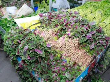 迎战台风“苏拉”，深圳周密安排“菜篮子”供应保障工作