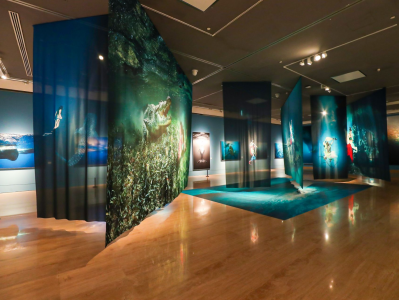 深圳摄影家岳鸿军海洋作品亮相中国美术馆，30多件被收藏