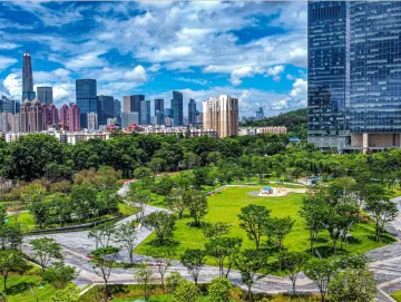 先行示范这四年 | 深圳山海连城公园连片 绿色福利市民福气