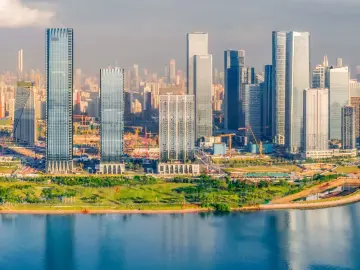 深圳立足全球市场和资源扩大高水平对外开放