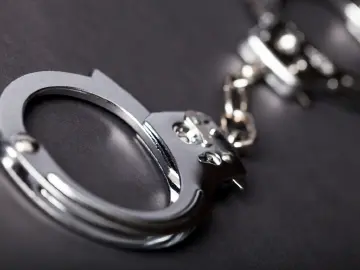 北京警方：两团伙入侵景区门票预约系统抢票牟利，刑拘16人