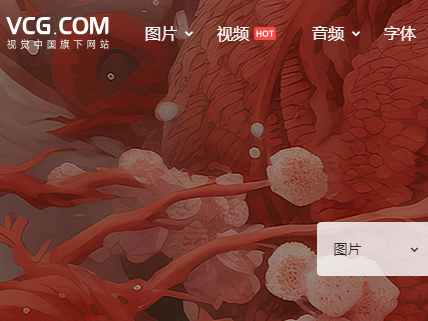 视觉中国回应争议事件：或将终止版权保护委托代理业务