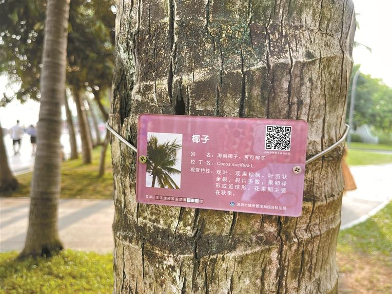 眼熟却叫不出名字？深圳植物也有“身份证”啦！手机一扫全明白→