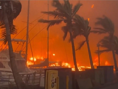 美国夏威夷卫生局：火灾后有毒物质污染大气和水源
