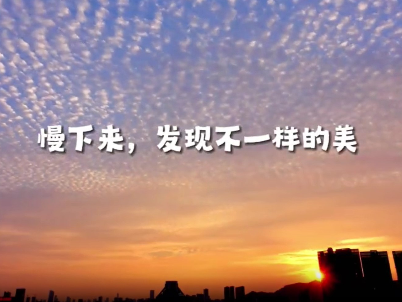 公交车漫游，看深圳美好｜M400线公交的探索之旅
