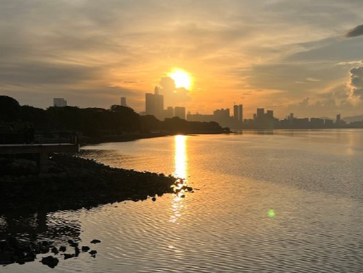 今日处暑，但并没有“出暑”！深圳未来一周总体炎热，“散装降雨”随机派送……